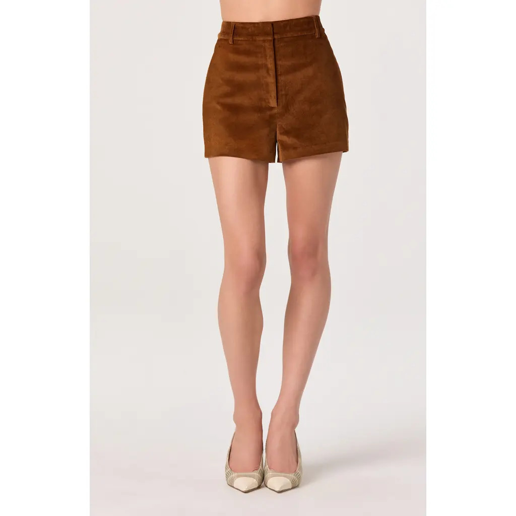 ASTR the Label High Waist Corduroy Shorts in Nutmeg at Nordstrom Rack, Size Large | Nordstrom Rack