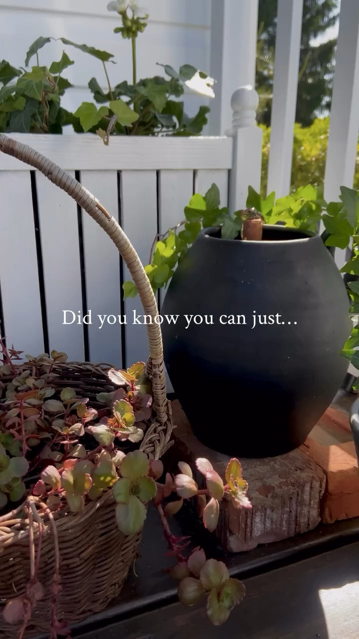 Did you know that if you take a cute vintage vessel, a small piece of copper pipe, and this little @poposoapsolar fountain kit, you can make a delightful little fountain for your front porch in under 5 minutes? I love how this fountain powers up through the day and keeps on bubbling and glowing right through the night. This is such a welcoming addition to our porch and it looks so perfect tucked into this spot beside the door with all my planters. Find the link to the exact fountain I used at the link in my bio!

Poposoap Your Water Feature in 10 Min. #Poposoap #poposoapsolarwaterfountain #SolarWaterFountain

Simple but effective home upgrades and vintage home decor paired with new finds - follow @creeklinehouse for more home ideas from our 120-year-old farmhouse.