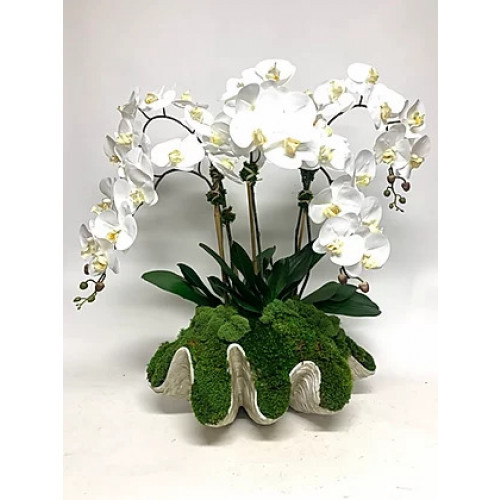 Ivy Guild Orchid Clam Shell | Gracious Style