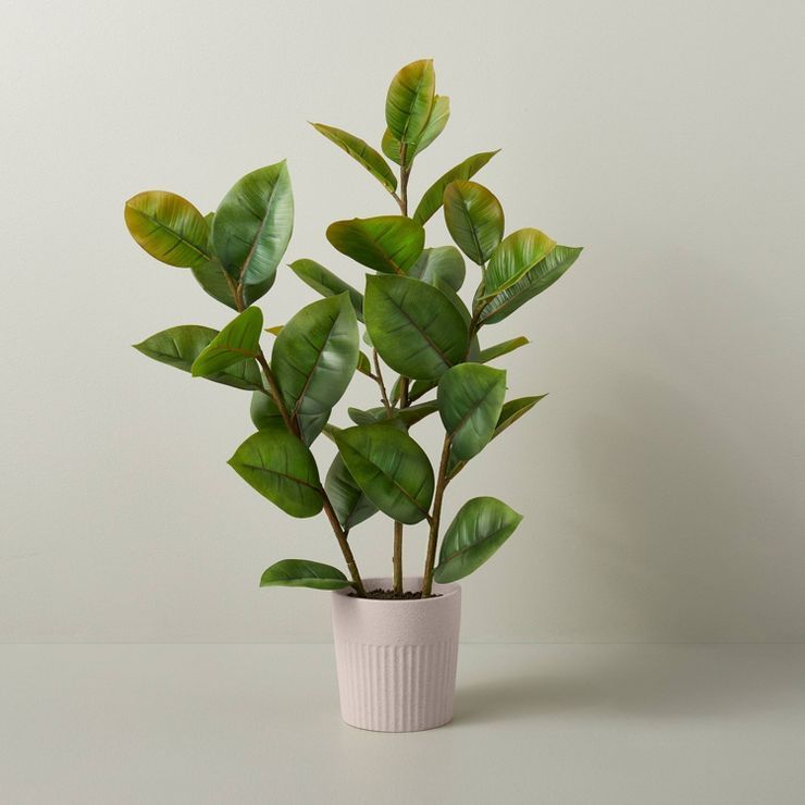 33" Faux Rubber Leaf Plant - Hearth & Hand™ with Magnolia | Target