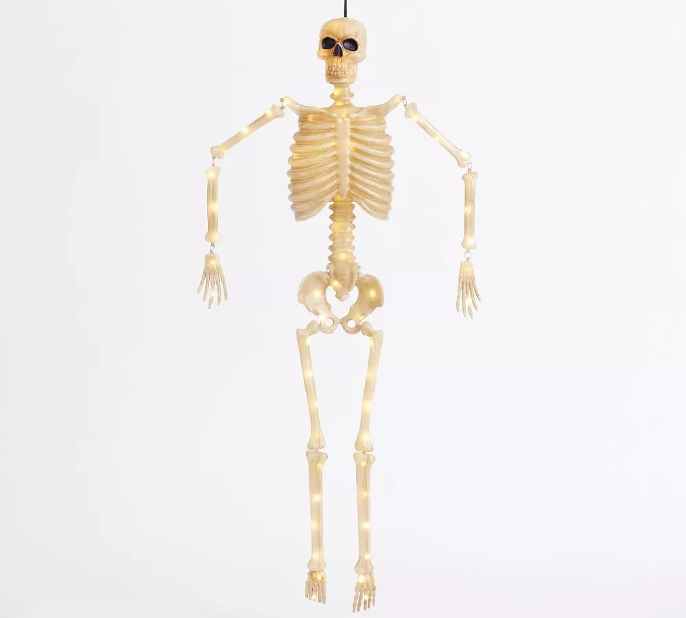 Lit Mr. Bones