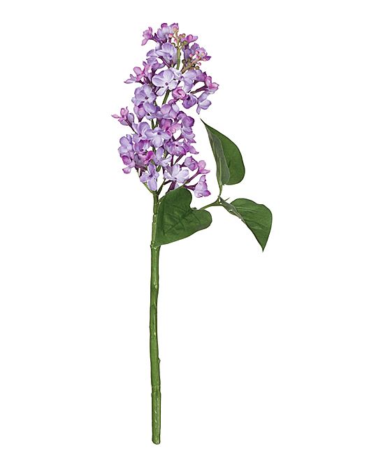 Sullivans Floral Lavender - Lilac Stem | Zulily