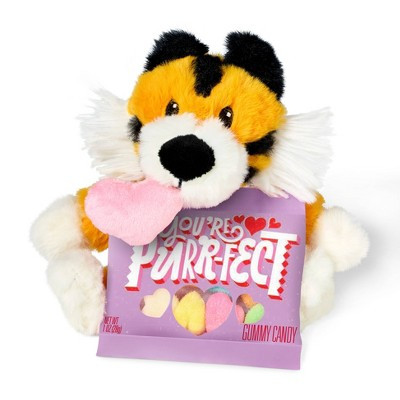 Valentine's Tiger Plush with Rainbow Hearts Candy - 1oz - Favorite Day™ | Target