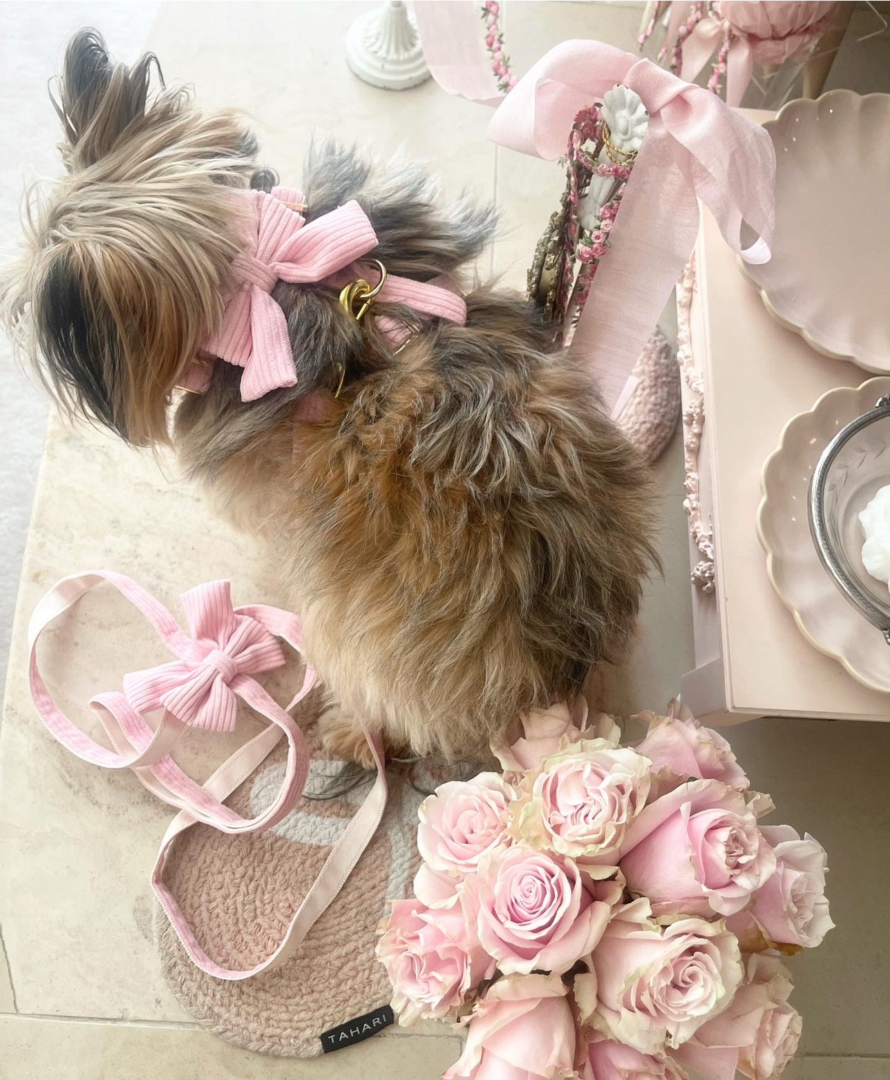 Pink Bow Leash, Collar and Harness
For small dogs💕
This is my sweet Mimi girl that is a 5 lb Yorkie Pomeranian… and she is our princess!
This was her bday gift and it was a hit!
Breathable adjustable cotton.. in the sweetest prettiest feminine pastel pink!

