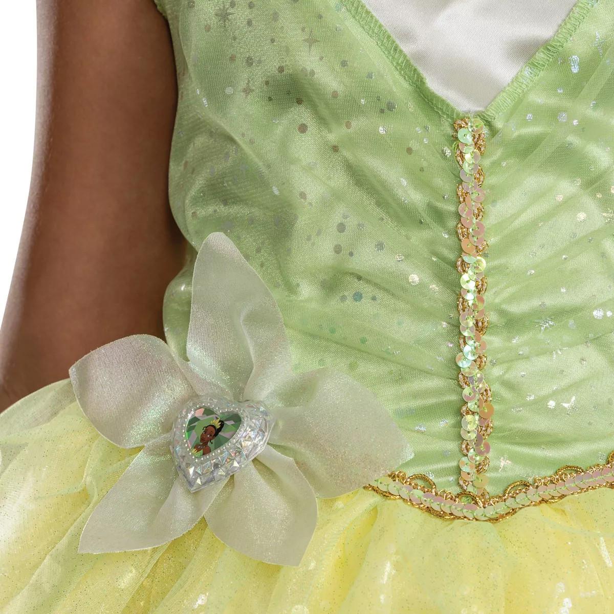Disney Princess Kids' the Princess and the Frog Tiana Deluxe Costume Dress | Target