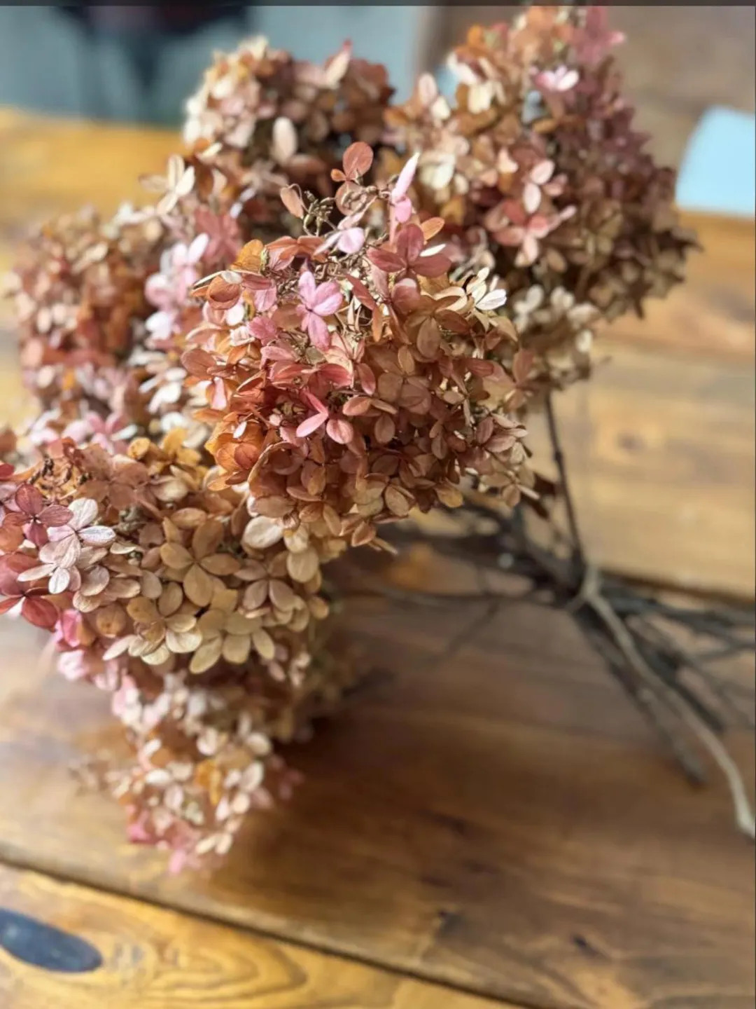 3 Stems Dried Limelight Hydrangea: Beige With Lime Accents, Rose - Etsy | Etsy (US)