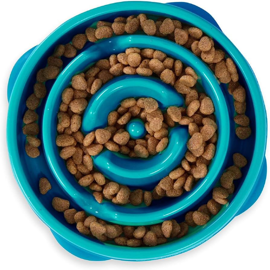 Outward Hound Fun Feeder Slo Bowl, Slow Feeder Dog Bowl, Medium/Mini, Turquoise | Amazon (US)