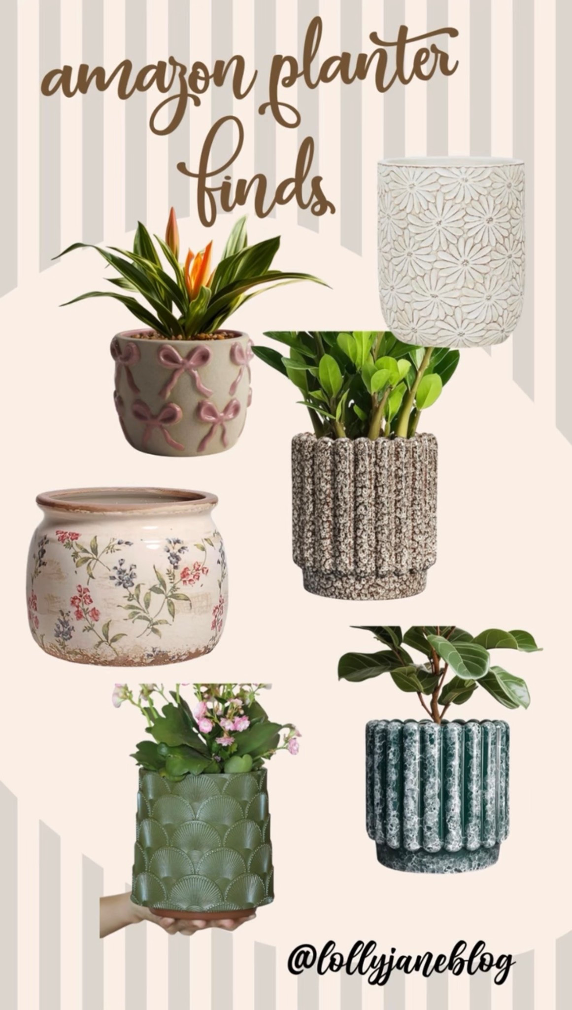 Amazon planer finds! 💕🙌🏼🪴 

#LTKSeasonal #LTKHome #LTKFindsUnder100