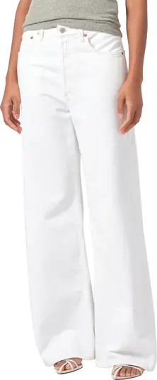 AGOLDE Dame High Waist Wide Leg Jeans | Nordstrom | Nordstrom