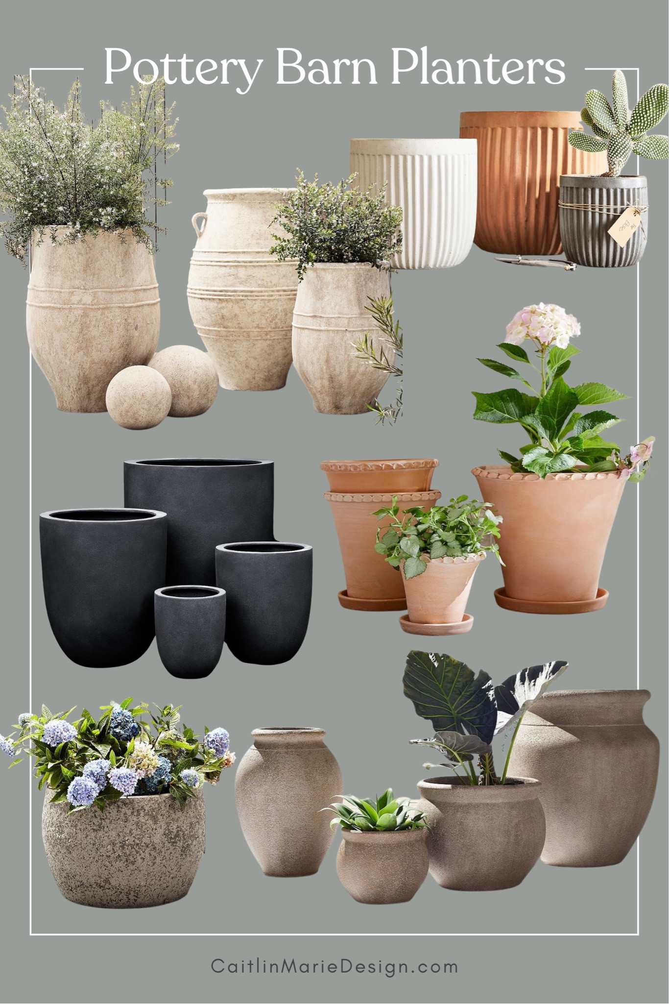 succulent in pot White Succulent and Cactus Ceramic Trough Plant Pot  Selections