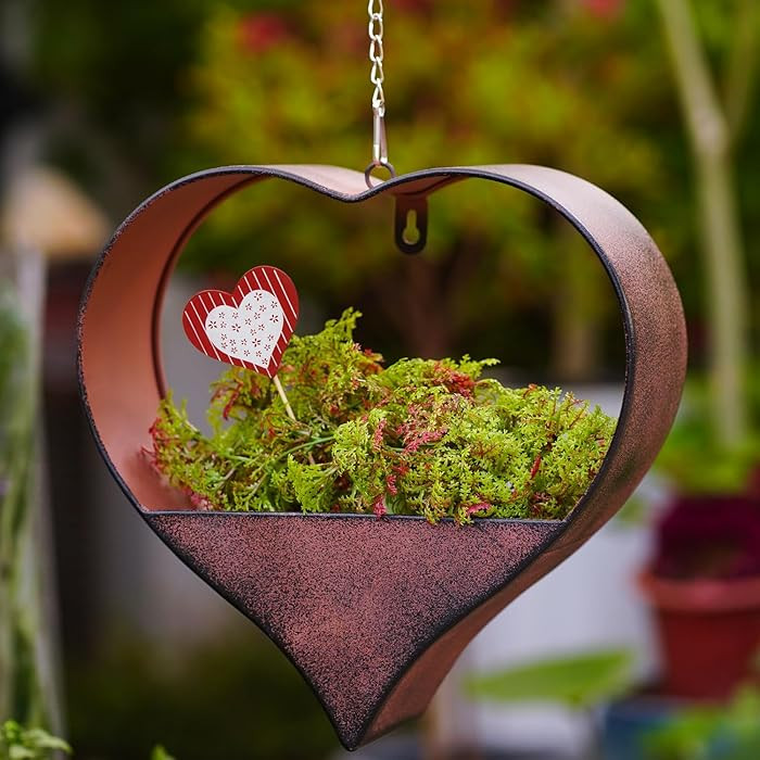 Valentines Day Gifts Metal Hanging Planters for Indoor & Outdoor Plants - Heart Shaped Planters f... | Amazon (US)