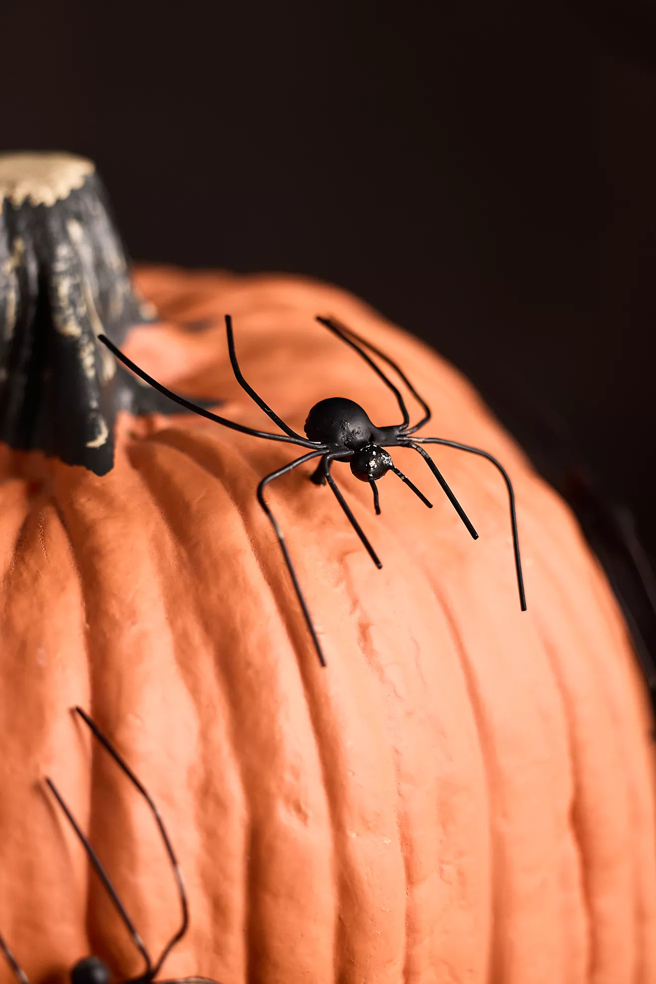 Spooky Spider Pumpkin Stakes, Set of 5 | Anthropologie (US)