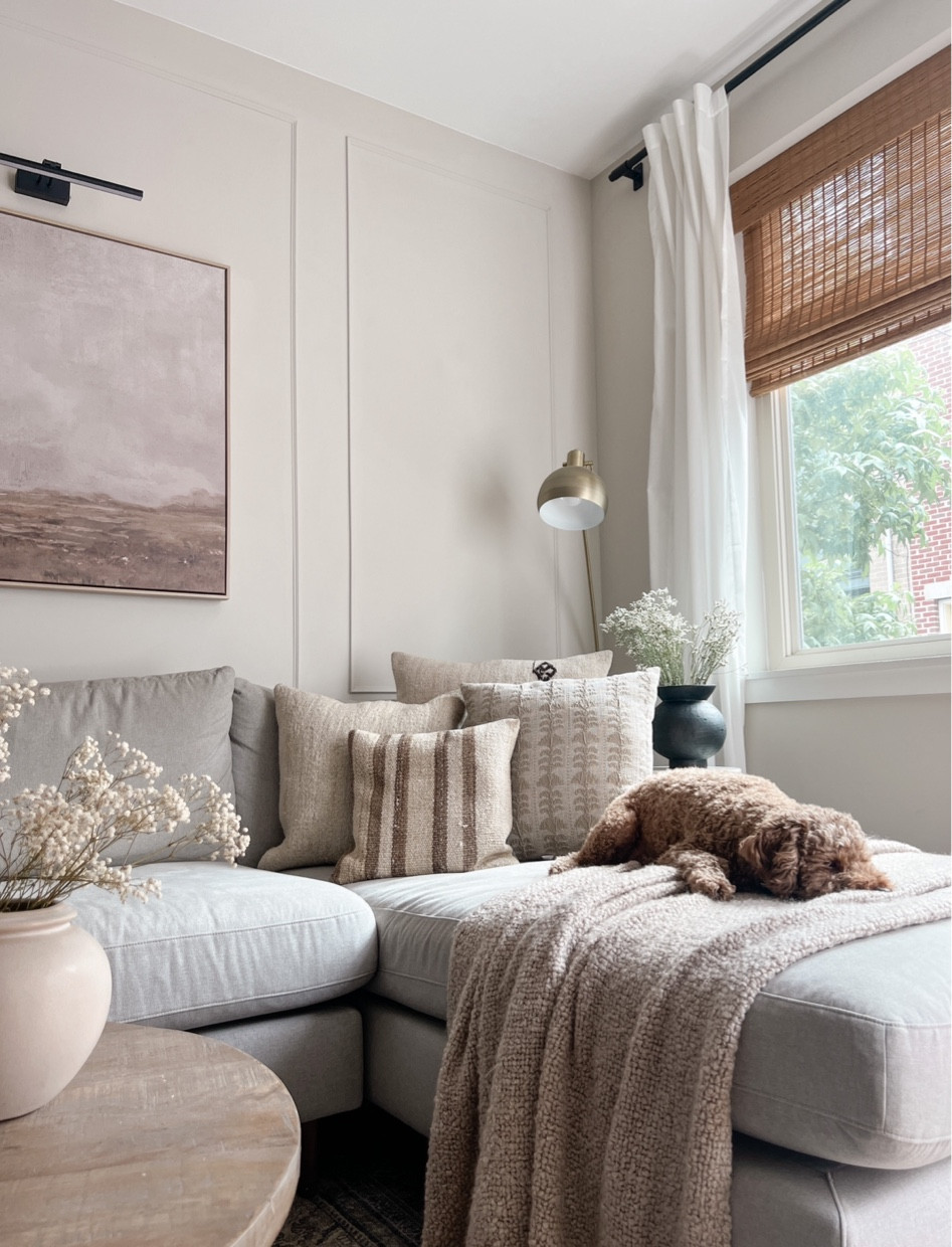 Scenes from the Living Room 

I’ve been loving the coziness of our Living Room lately so I wanted to share some of my favorite recent shots.  

#LTKhome #LTKFind