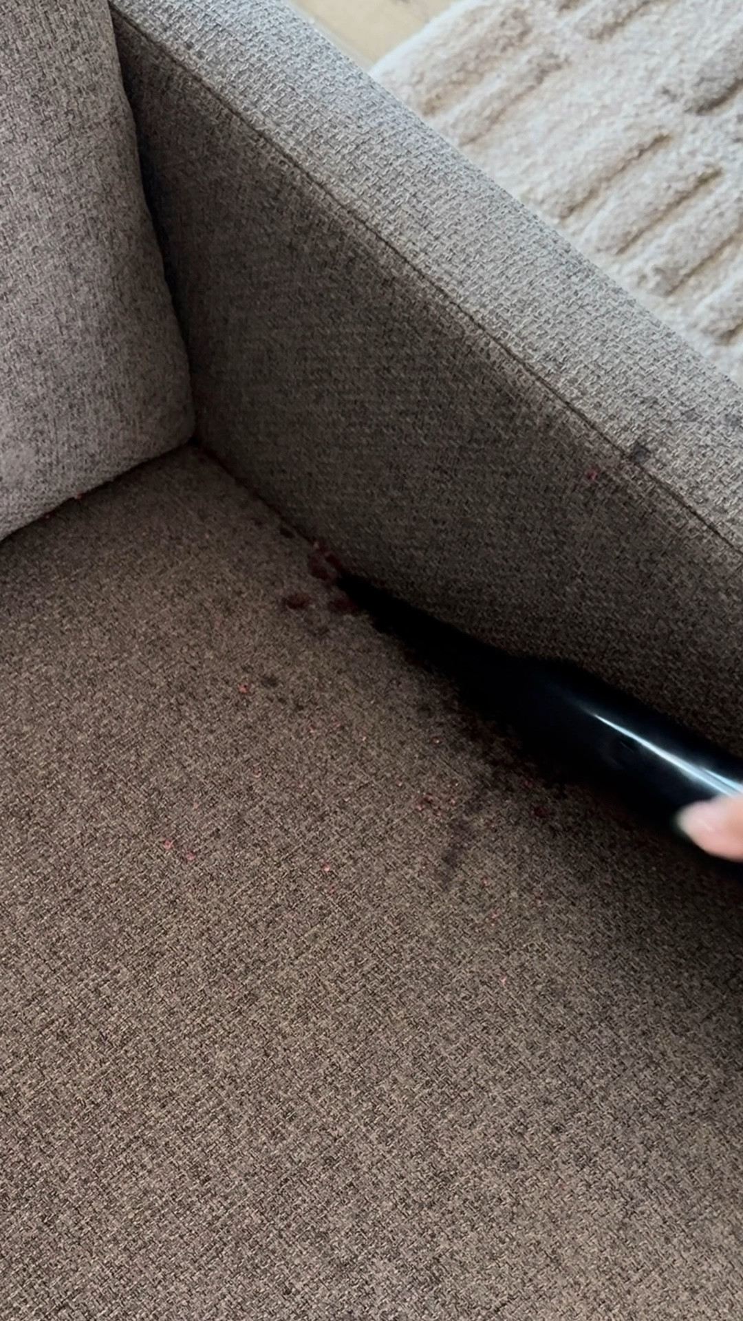 Little Green Pet Pro
Vacuum, pet mess vacuum, transitional home, modern decor, amazon find, amazon home, target home decor, mcgee and co, studio mcgee, amazon must have, pottery barn, Walmart finds, affordable decor, home styling, budget friendly, accessories, neutral decor, home finds, new arrival, coming soon, sale alert, high end look for less, Amazon favorites, Target finds, cozy, modern, earthy, transitional, luxe, romantic, home decor, budget friendly decor, Amazon decor #target

#LTKSeasonal #LTKHoliday #LTKGiftGuide