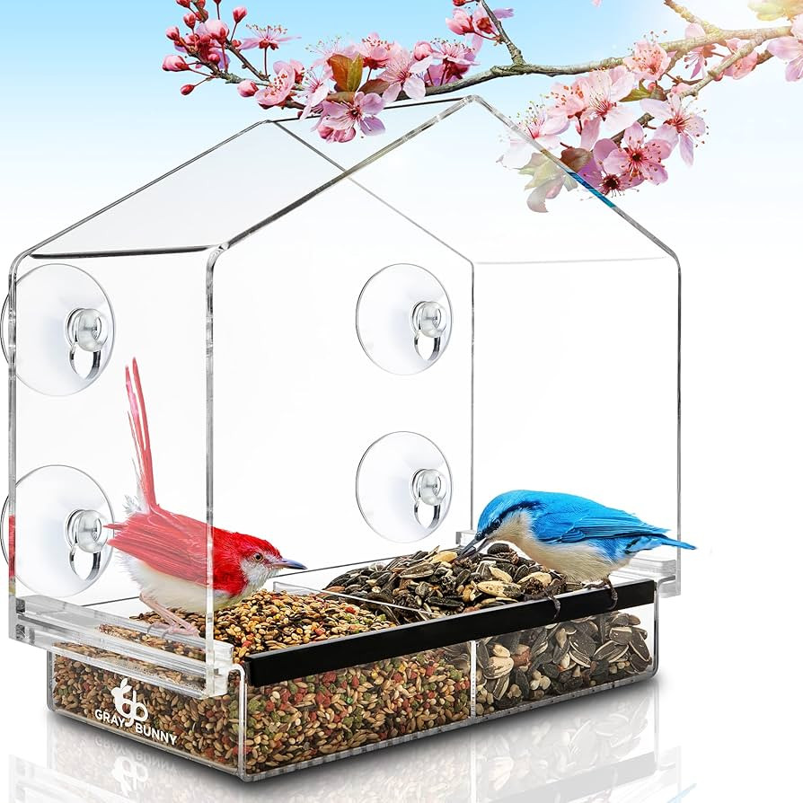 Clear Bird Feeders for Window - Bird House Style Window Bird Feeder - Window Bird Feeders with St... | Amazon (US)