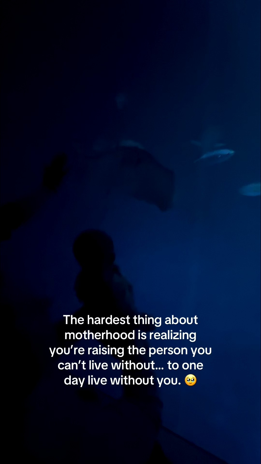 #LTKKids #LTKBaby #LTKBump