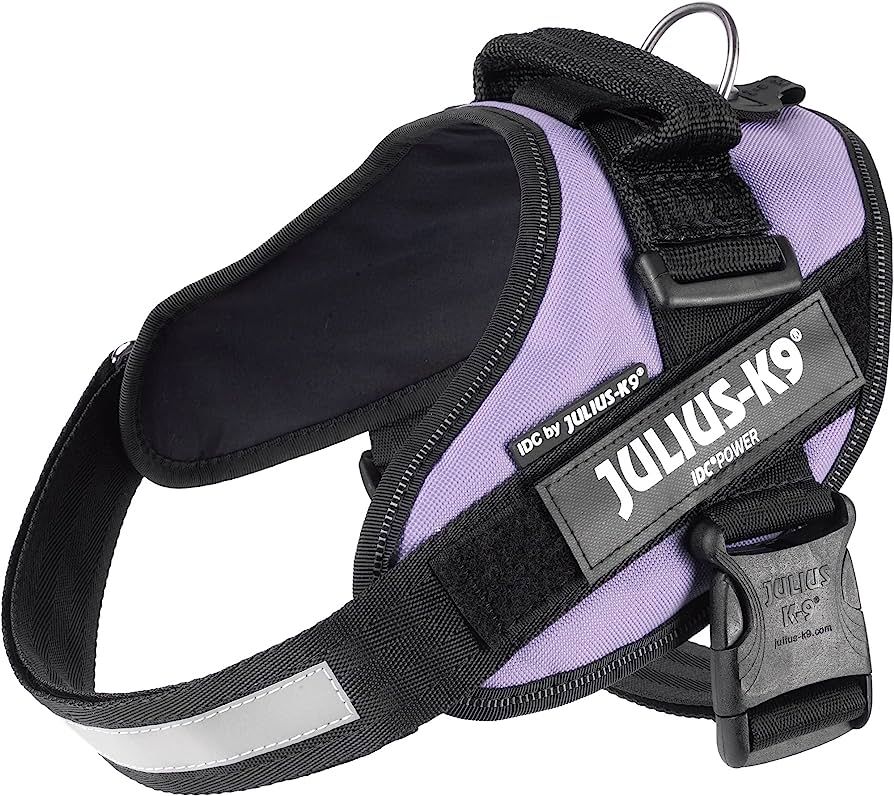 JULIUS-K9, 16IDC-PR-0, IDC Powerharness, dog harness, Size: 0, Purple | Amazon (US)