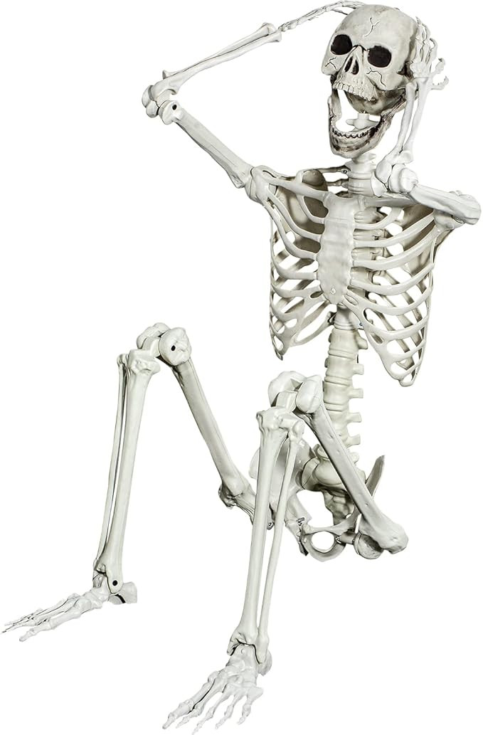 5.4ft Posable Halloween Skeleton - Full Body Life Size Skeleton Bones with Movable Joints for Hal... | Amazon (US)