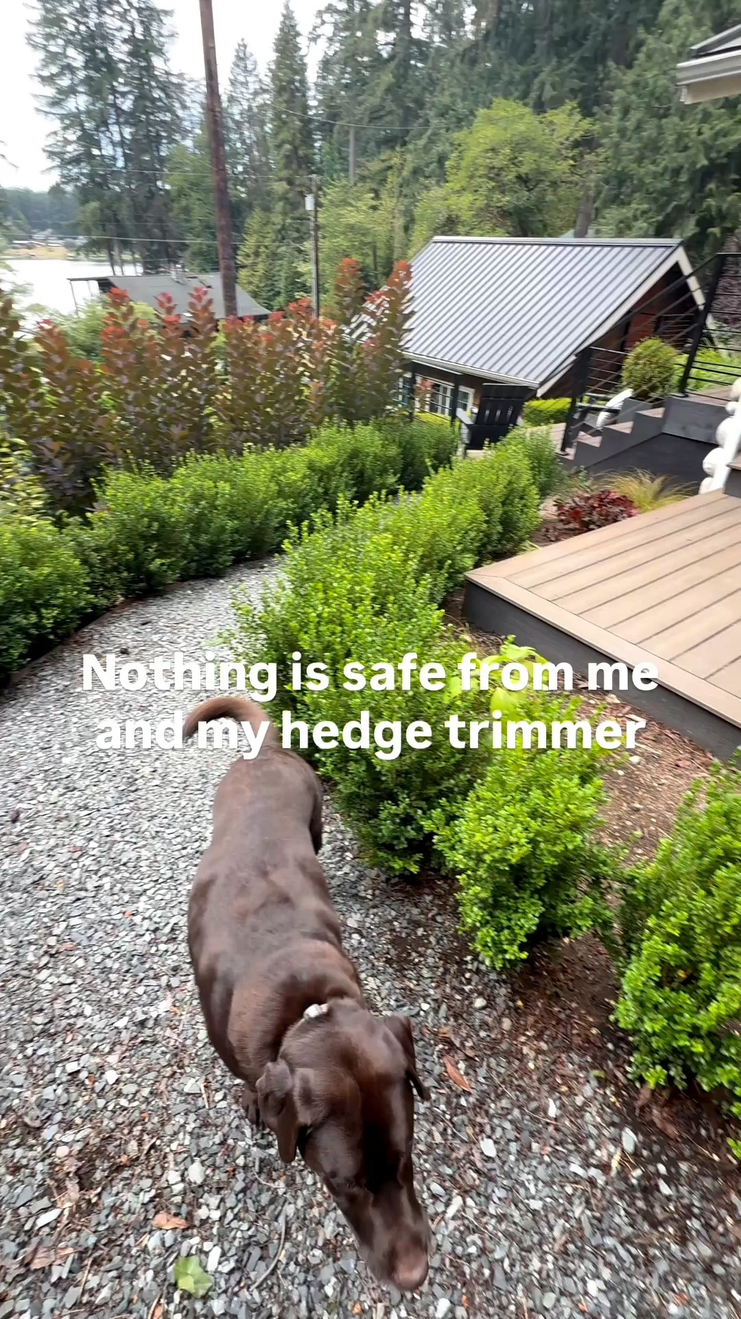 DeWalt Cordless Hedge Trimmer | Yard Must-Have

Nothing is safe from me and my hedge trimmer 😂 This DeWalt cordless hedge trimmer makes trimming boxwoods, hedges and shrubs SO much easier. I love that it’s cordless, easy to maneuver and gives everything a quick clean-up without dragging out extension cords. Linking the exact one I use for our yard!

#LTKHome #LTKmomlife #LTKSeasonal