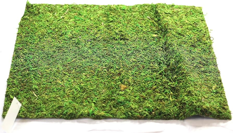Preserved Moss Runner and Mats (18in x 16in mat) | Amazon (US)