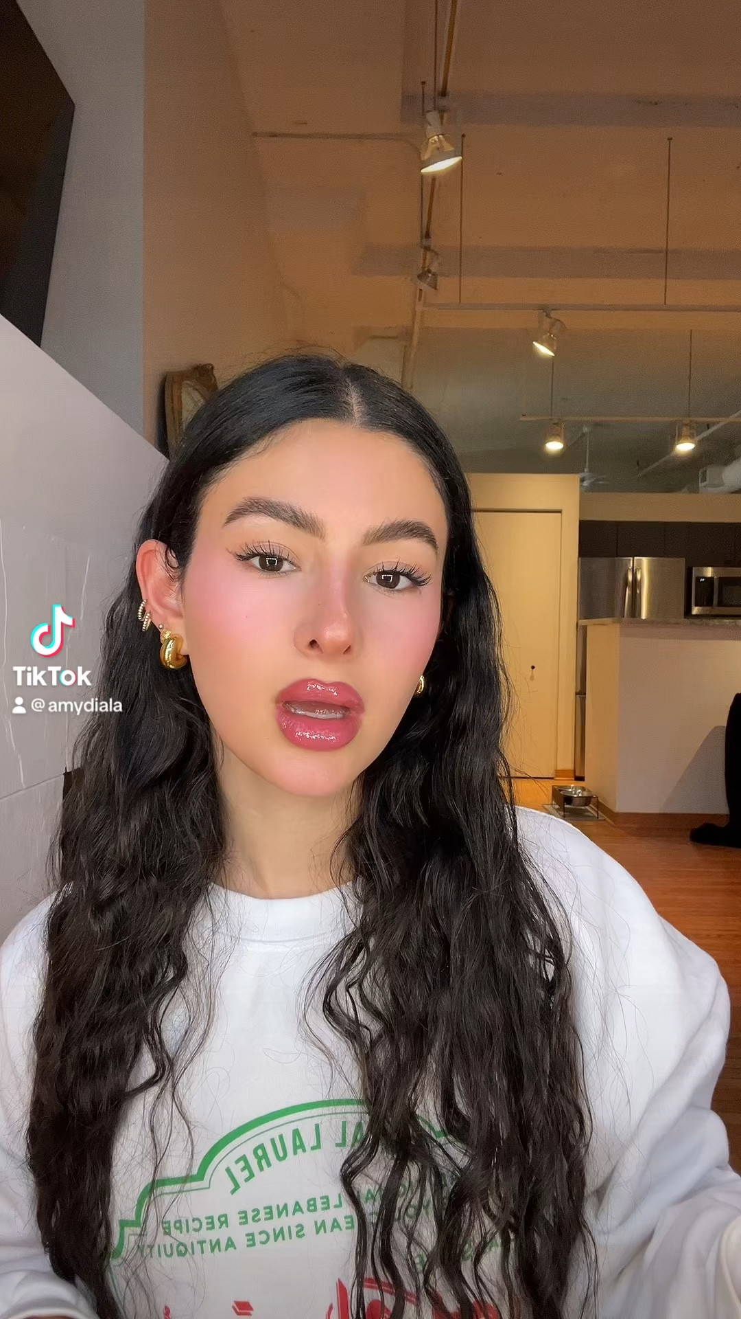 Everyday lip combo
Pink lip combo
Charlotte tilbury lip liner - supersize me
Benefit benetint
Summer fridays lip oil - pink cloud


#LTKfindsunder100 #LTKbeauty #LTKfindsunder50