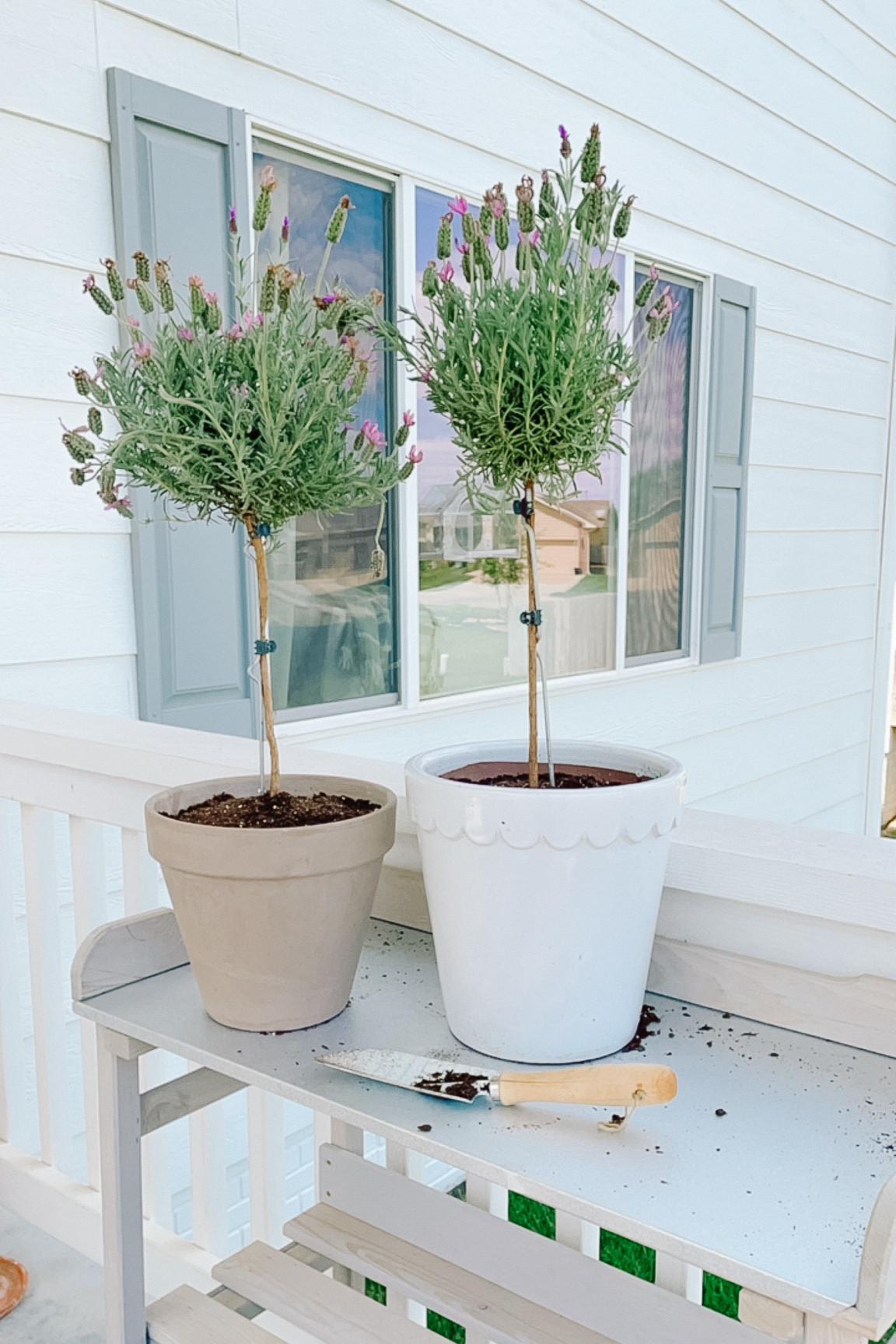 Scalloped planter, scalloped pot, planter pot, flower pot, gardening, home decor 

#LTKHome
