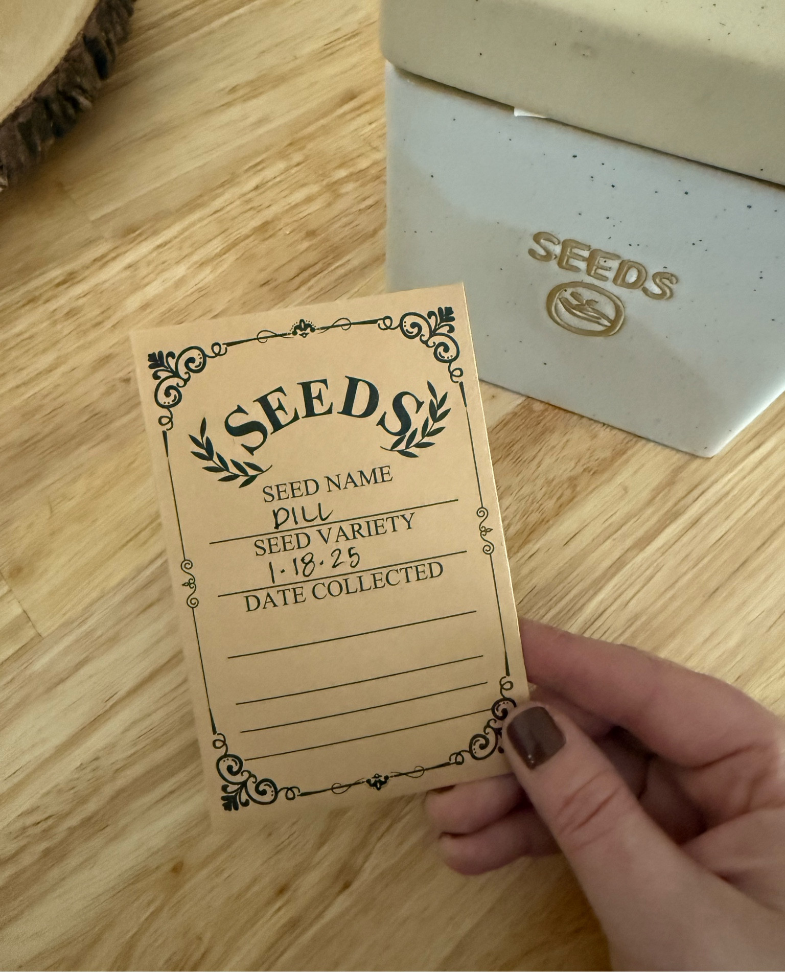 Seed collection & storage for my garden this year! 

#LTKFindsUnder50 #LTKHome