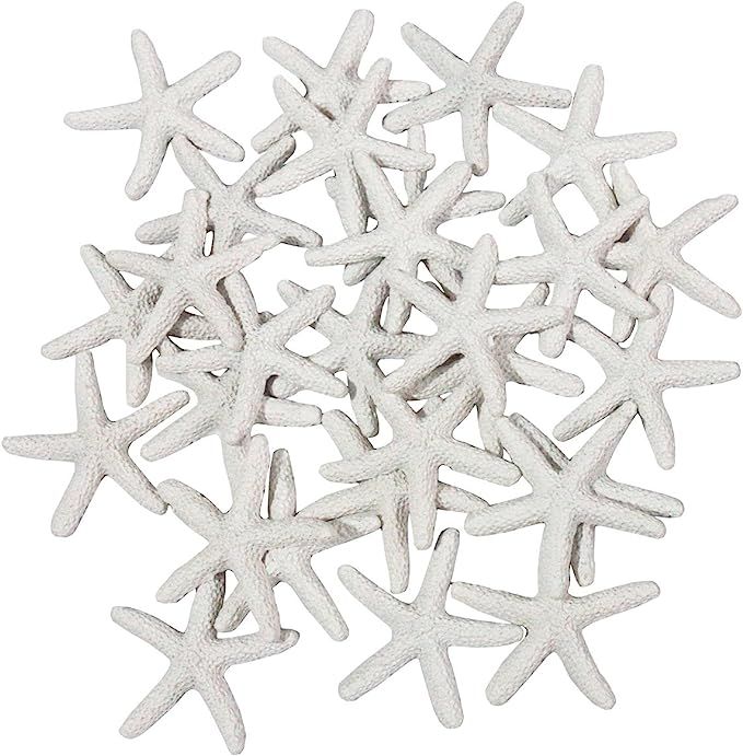 LJY 25 Pieces White Resin Pencil Finger Starfish for Wedding Decor, Home Decor and Craft Project,... | Amazon (US)