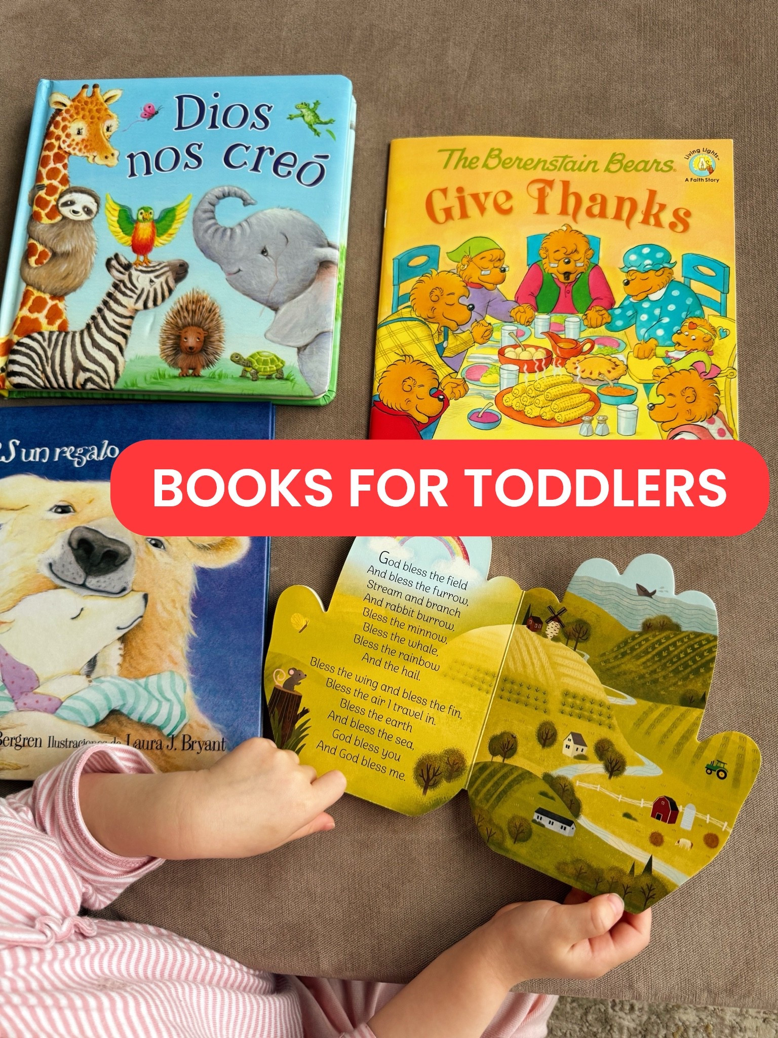 I also ordered 3 of the indestructible books 📚 The other books I included we own and she loves !