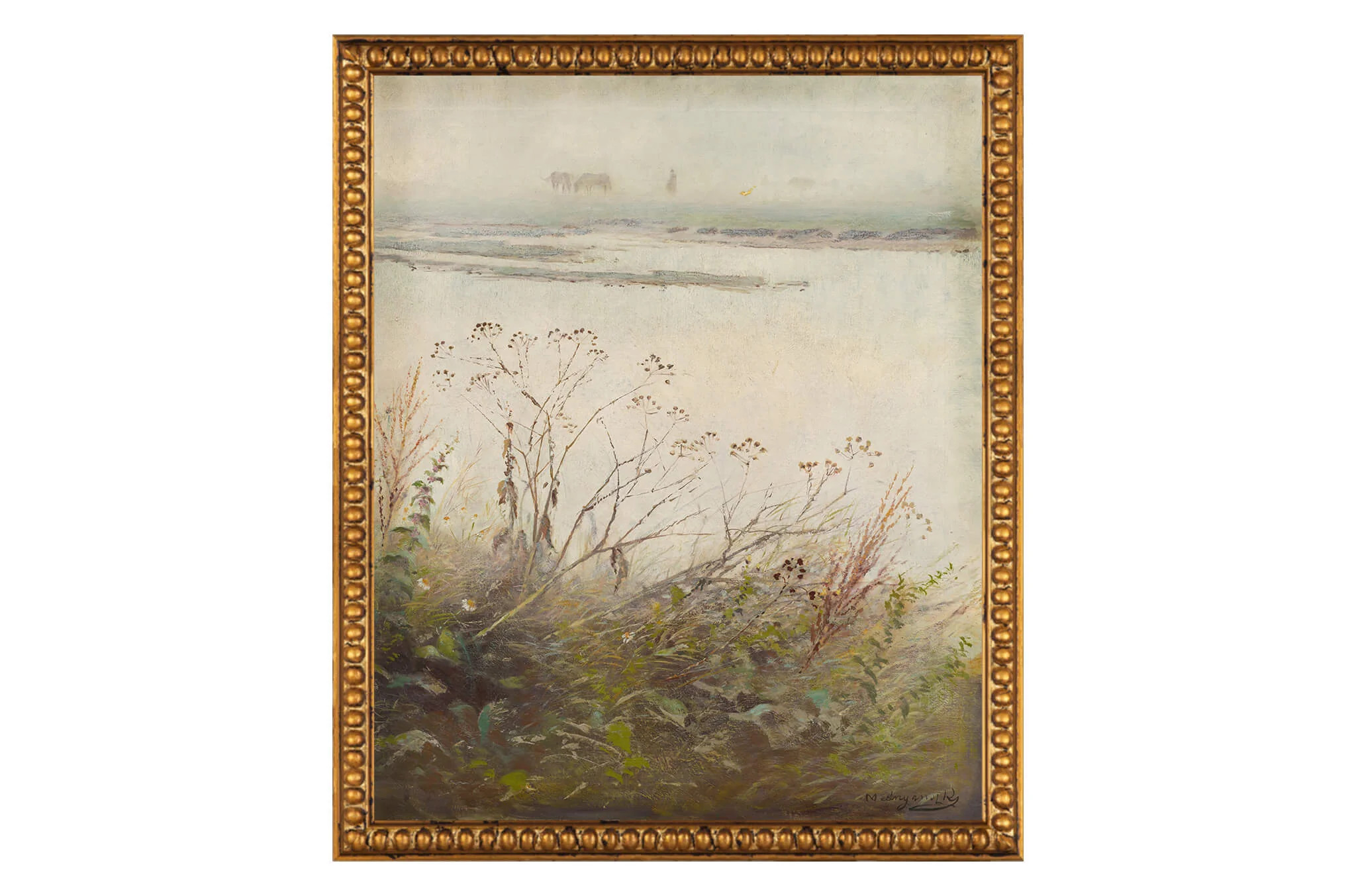 Floral Field | North and Finch