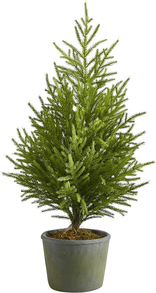 Nearly Natural 3ft. Norfolk Island Pine “Natural Look” Artificial Tree in Decorative Planter | Amazon (US)