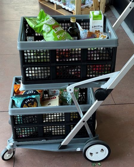 Shop below! Your very own portable grocery cart! Xo! 

#LTKFindsUnder100 #LTKHome #LTKGiftGuide