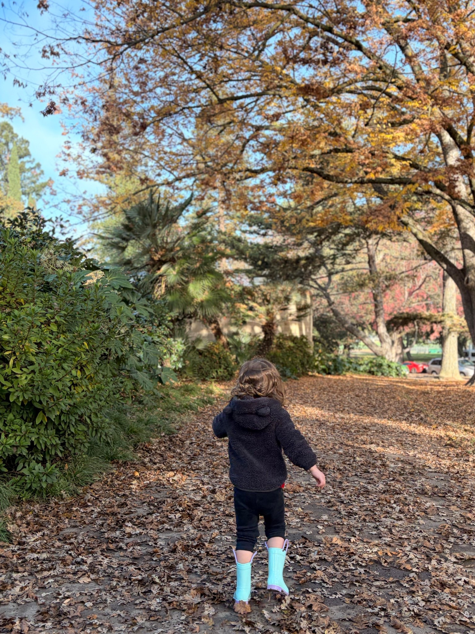 We finally got some blue skies in the valley! 

#LTKmomlife #LTKKids