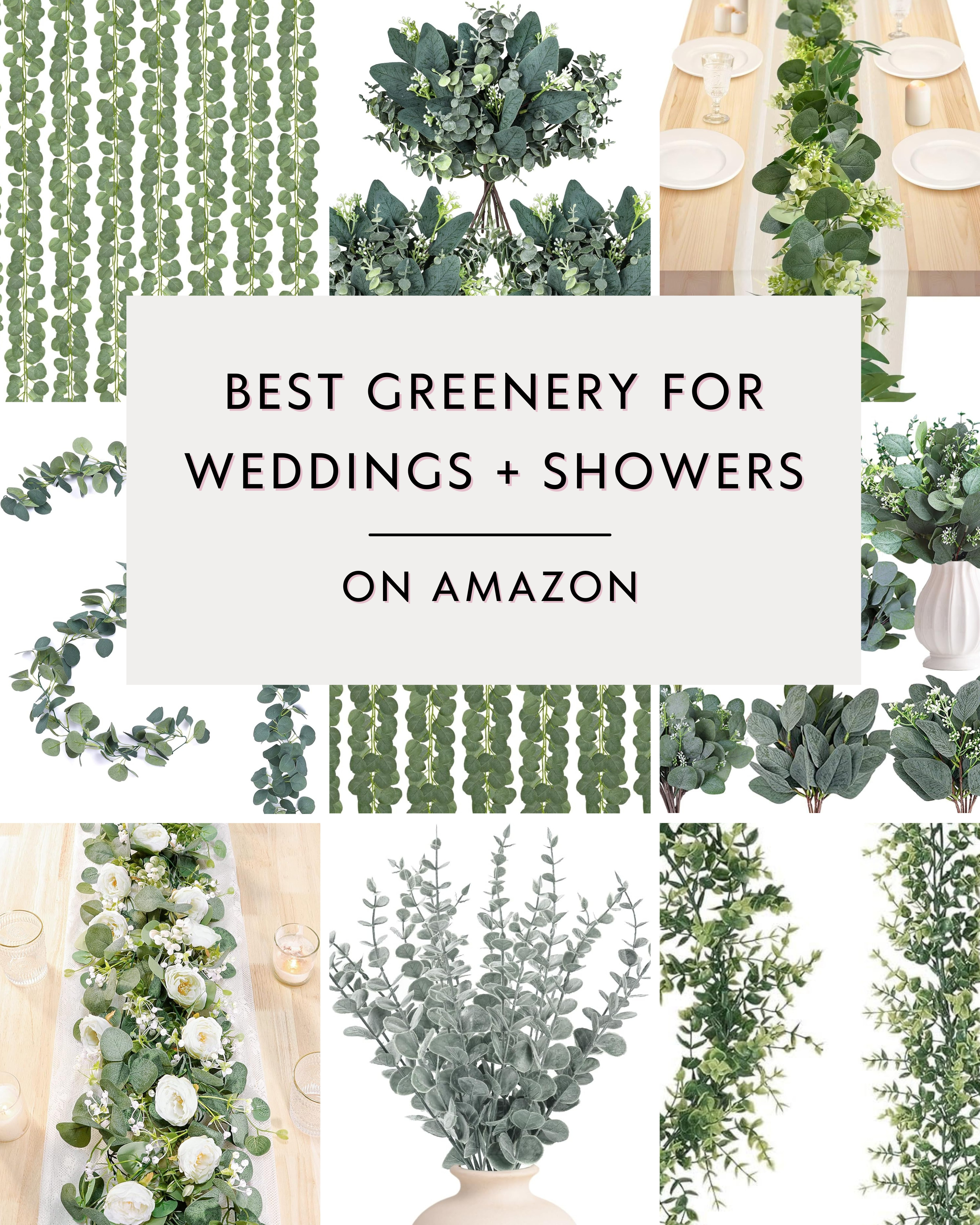 ✨Best Greenery for Weddings + Bridal Showers on Amazon✨

Because no event is complete without a little greenery moment 🌿 From faux eucalyptus garlands to dainty stems for tables + arches, these picks make decorating so easy (and affordable).

Tap to shop my favorites that look way more expensive than they are 💚 

#AmazonWedding #BridalShowerDecor #WeddingInspo  

 #LTKParties #LTKWedding