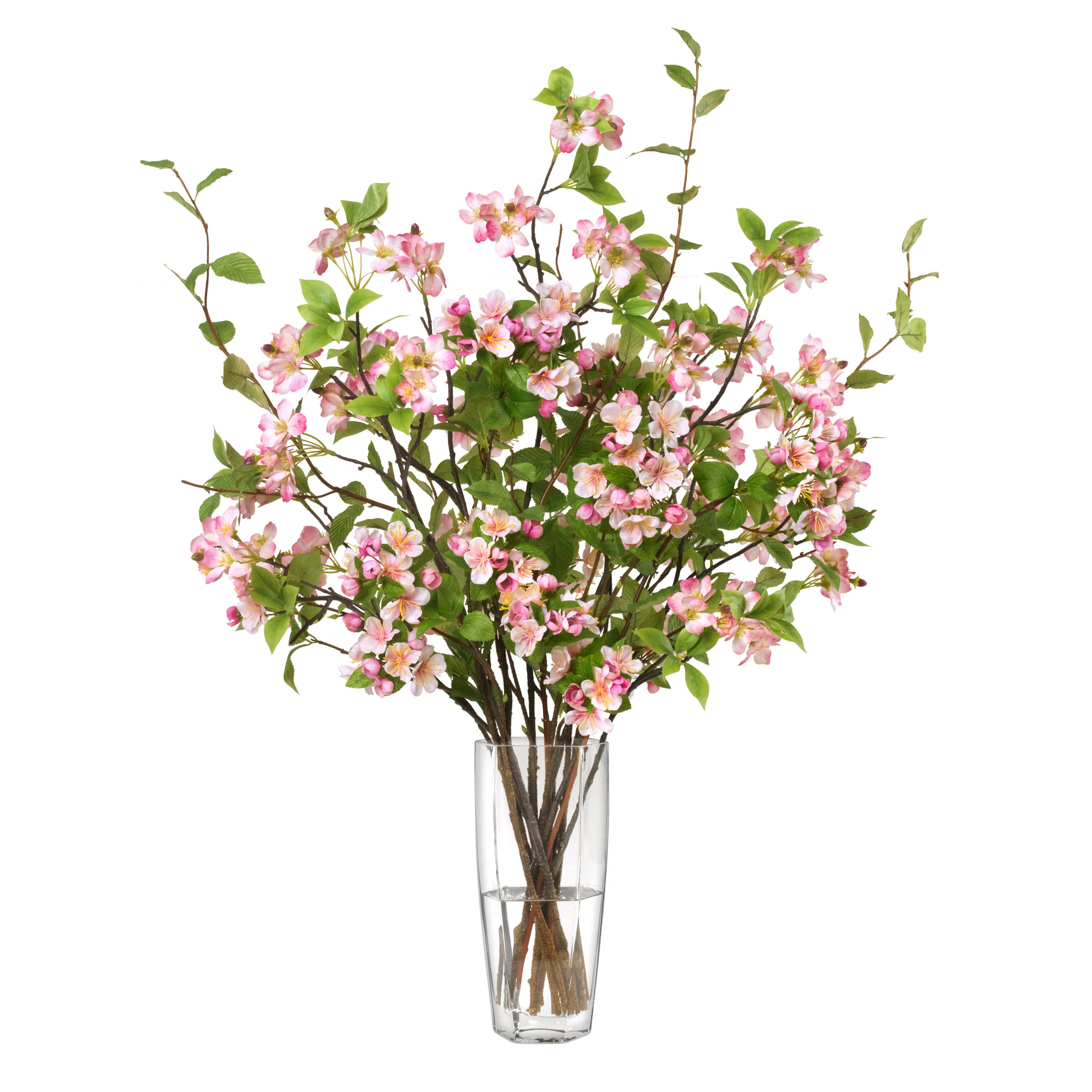 Apple of Your Eye | Diane James Home