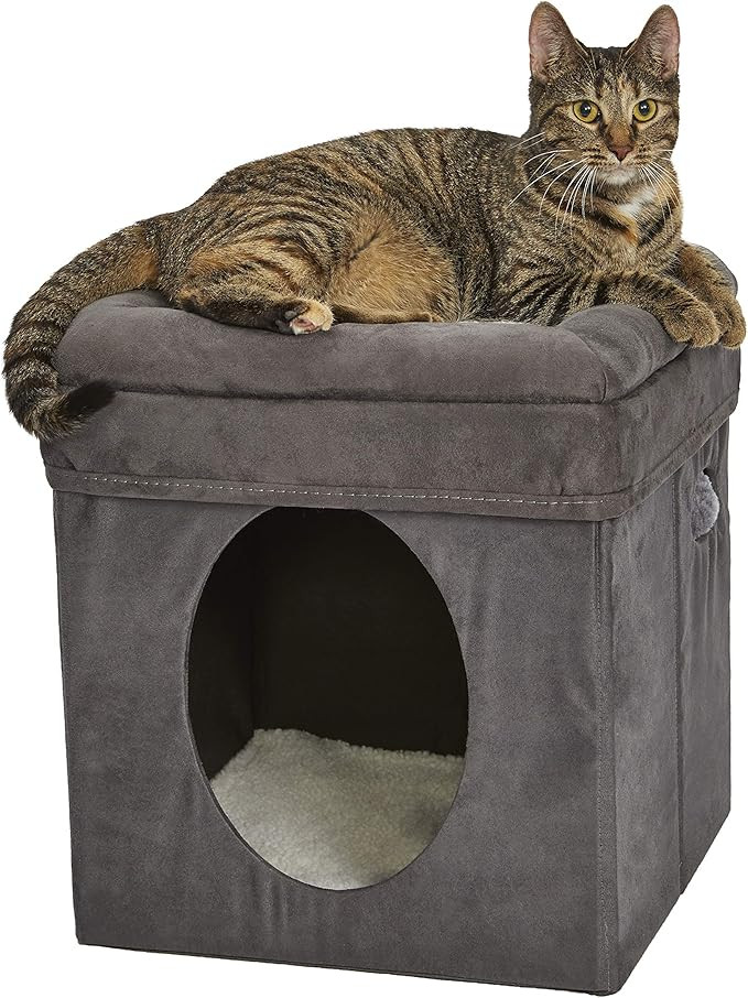 MidWest Homes for Pets Cat Cube, 15.5 x 15.5 x 16.6 Inches, Foldable Cat Hideout with Toy, Bolste... | Amazon (US)