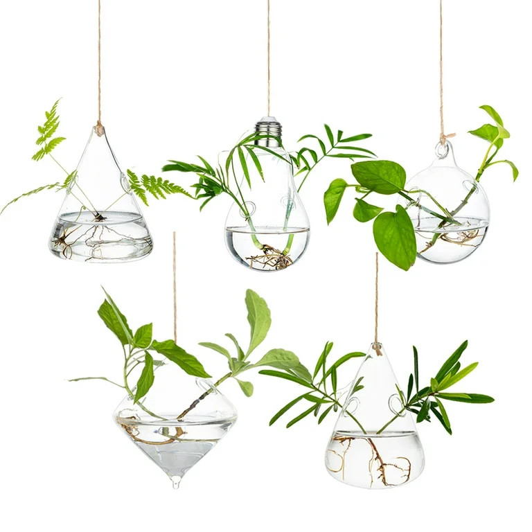 Glasseam Hanging Planters Glass Terrarium: 5Pcs Modern Plant Propagation Stations Hydroponic Wall... | Walmart (US)