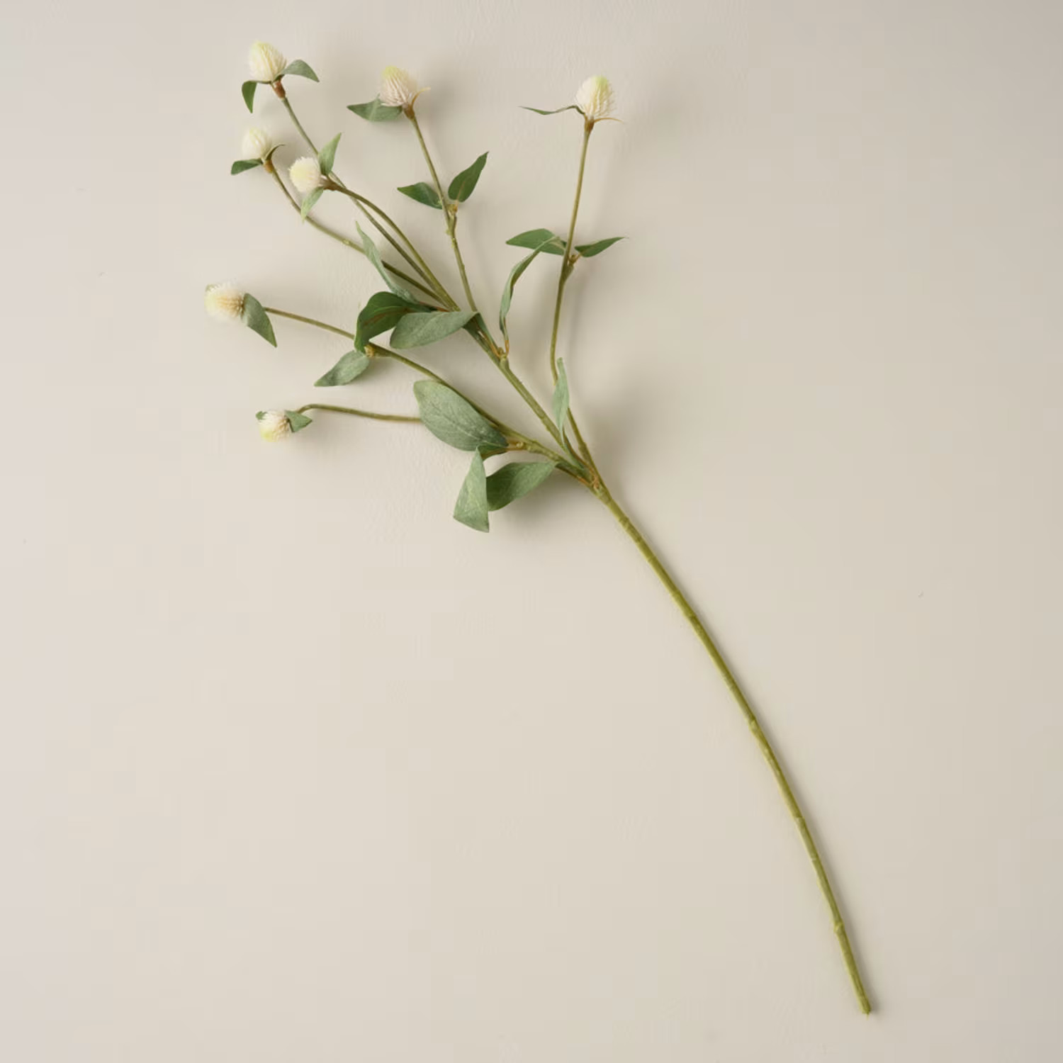 White Gomphrena Spray | Magnolia