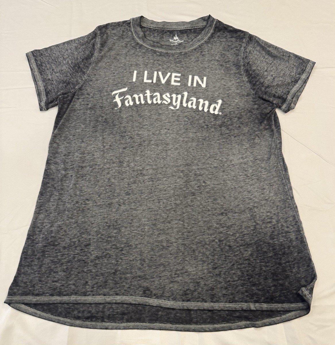 Disney Parks “I Live in Fantasyland” Gray T-Shirt XL | eBay US