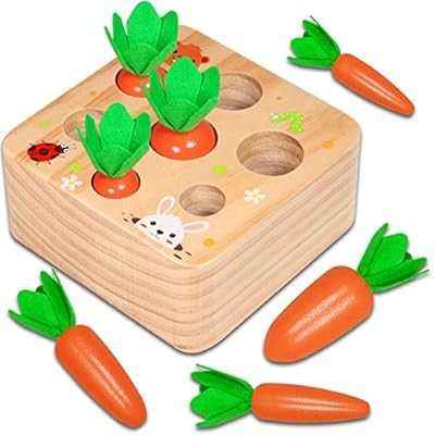 Hamsoo Montessori Toys for Toddlers Age 1-3, Carrot Harvest Shaped & Size Matching Game Fine Moto... | Amazon (US)