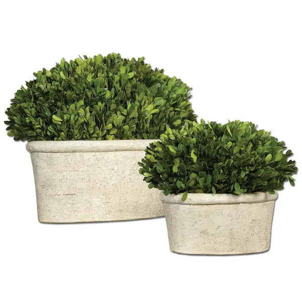 Uttermost Preserved Boxwood with Oval Dome (Set of 2) | Bed Bath & Beyond
