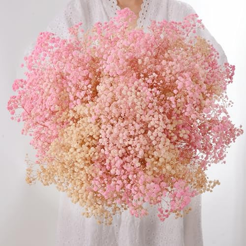 3500+ Dried Babys Breath Flowers Pink & White-17'' Baby's Breath Bulk Bouquet, Real Natural Dried Gypsophila Flowers for Resin, Home Vase Decor, Card DIY, Party, Wedding Flower Wreaths | Amazon (US)