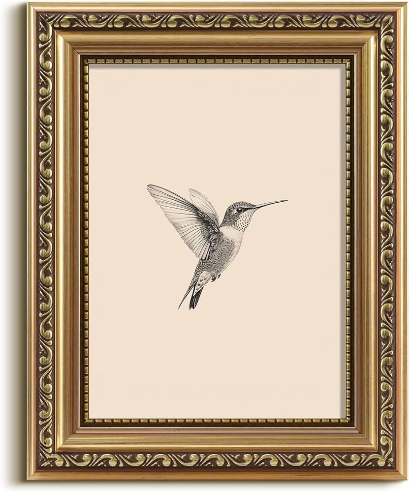 VIYYIEA Gold Framed Elegant Hummingbird Sketch Canvas Wall Art, Vintage Nature Illustration, Mini... | Amazon (US)