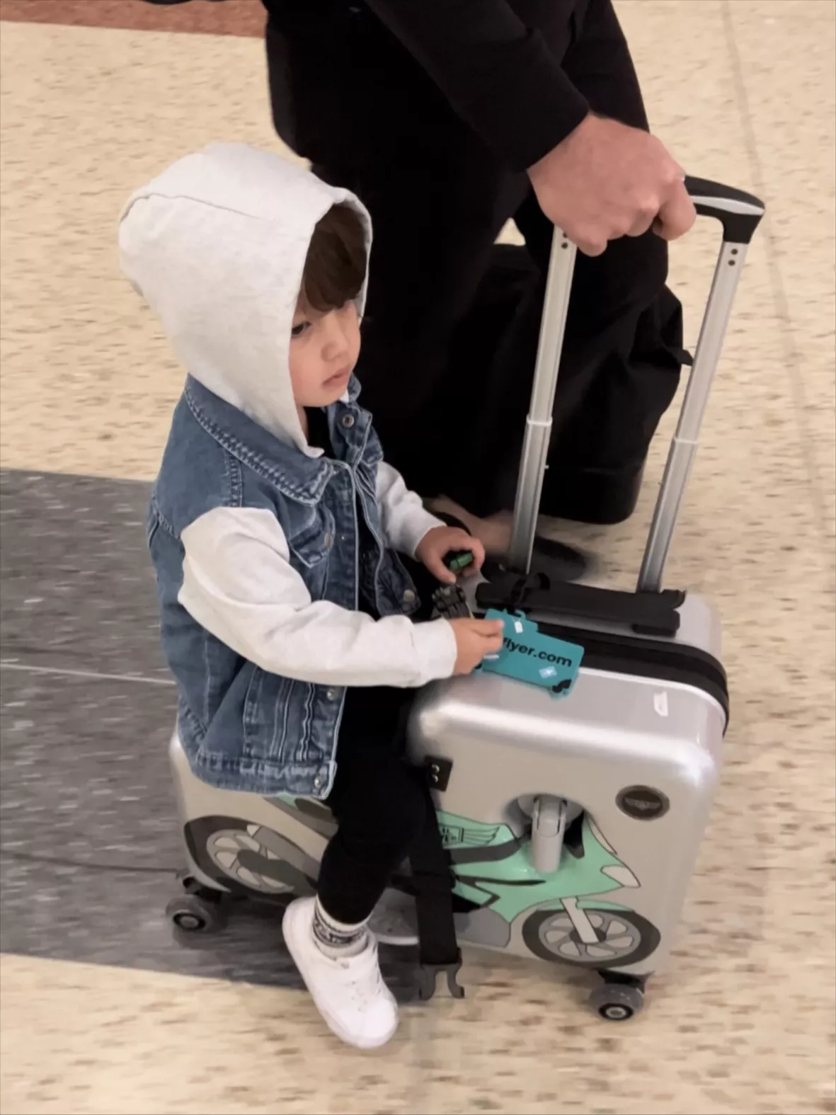 Younglingz Lil Flyer 20 Kid Ride on Suitcase Child Stroller Spinner Luggage (Dog)