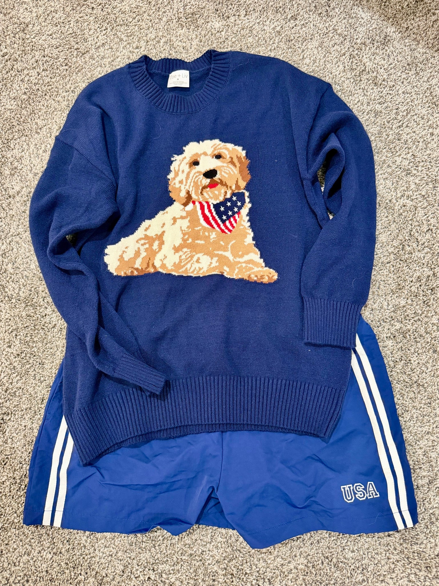 Obsessed with this new Goldendoodle sweater at Target!  

#LTKootd #LTKTall #LTKSeasonal