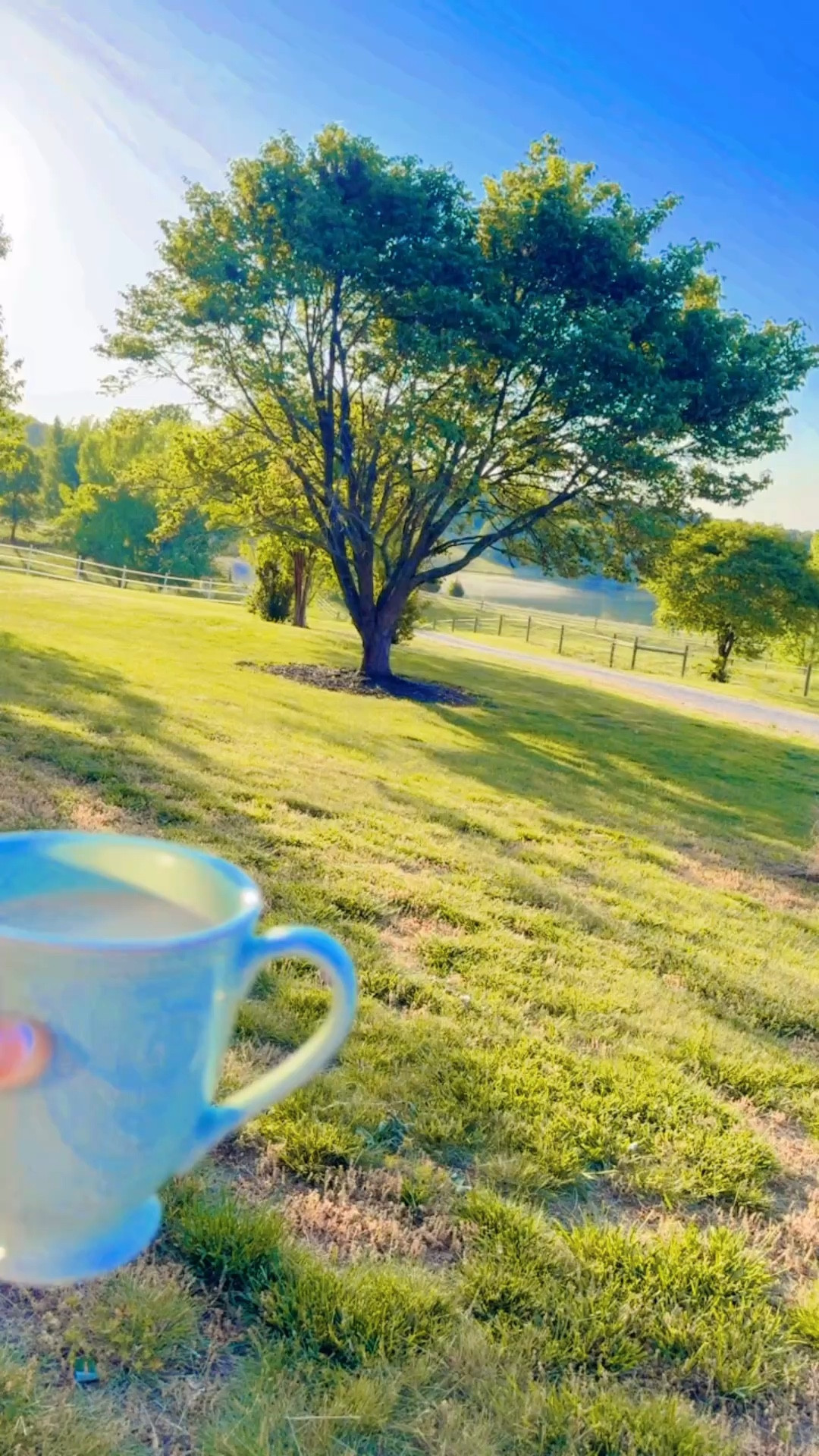 couldn’t have dreamed of a place like this if I tried 🤍