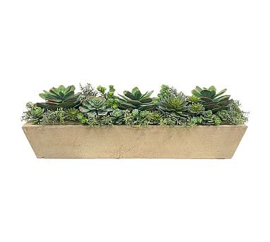 Succulent Arrangement in Rectangular Planters | Pottery Barn (US)