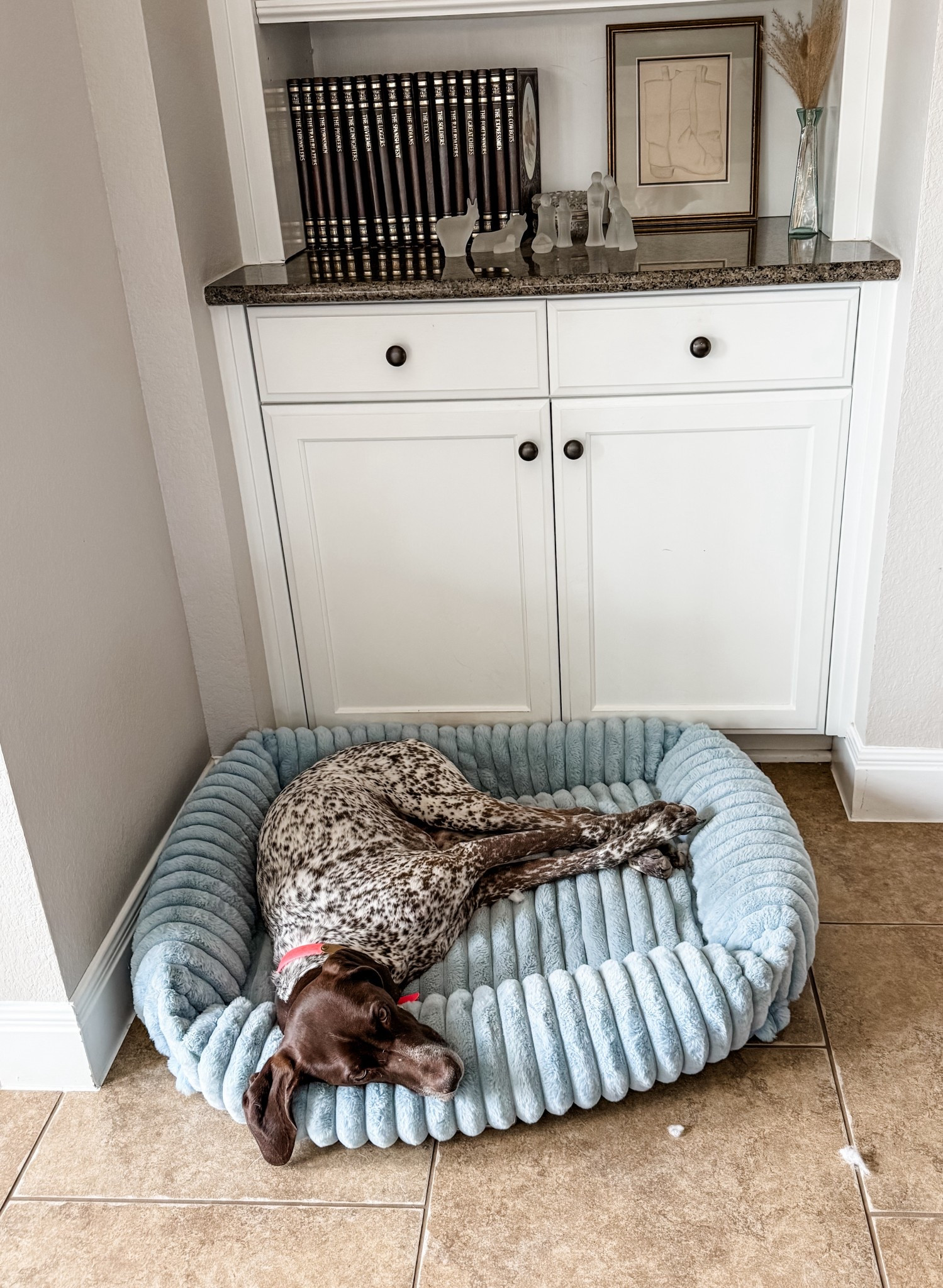 My favorite dog bed! It’s beautiful and blue and has plenty of cushion for our (getting to be senior 😭) pup. 

This one lived in our living room and comes in so many colors! We got Size: 36.0"L x 27.0"W x 8.0"Th, also comes in cream, blush pink, brown, beige, grey and navyy

Amazon find, doggy bed, sizes for all breeds and shapes of puppers. 

#LTKFindsUnder100 #LTKHome #LTKdayinmylife