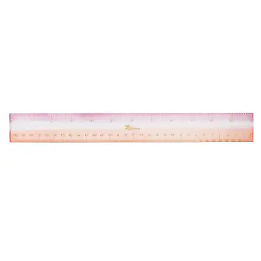 Pastel Essentials Acrylic Ruler | Erin Condren | Erin Condren