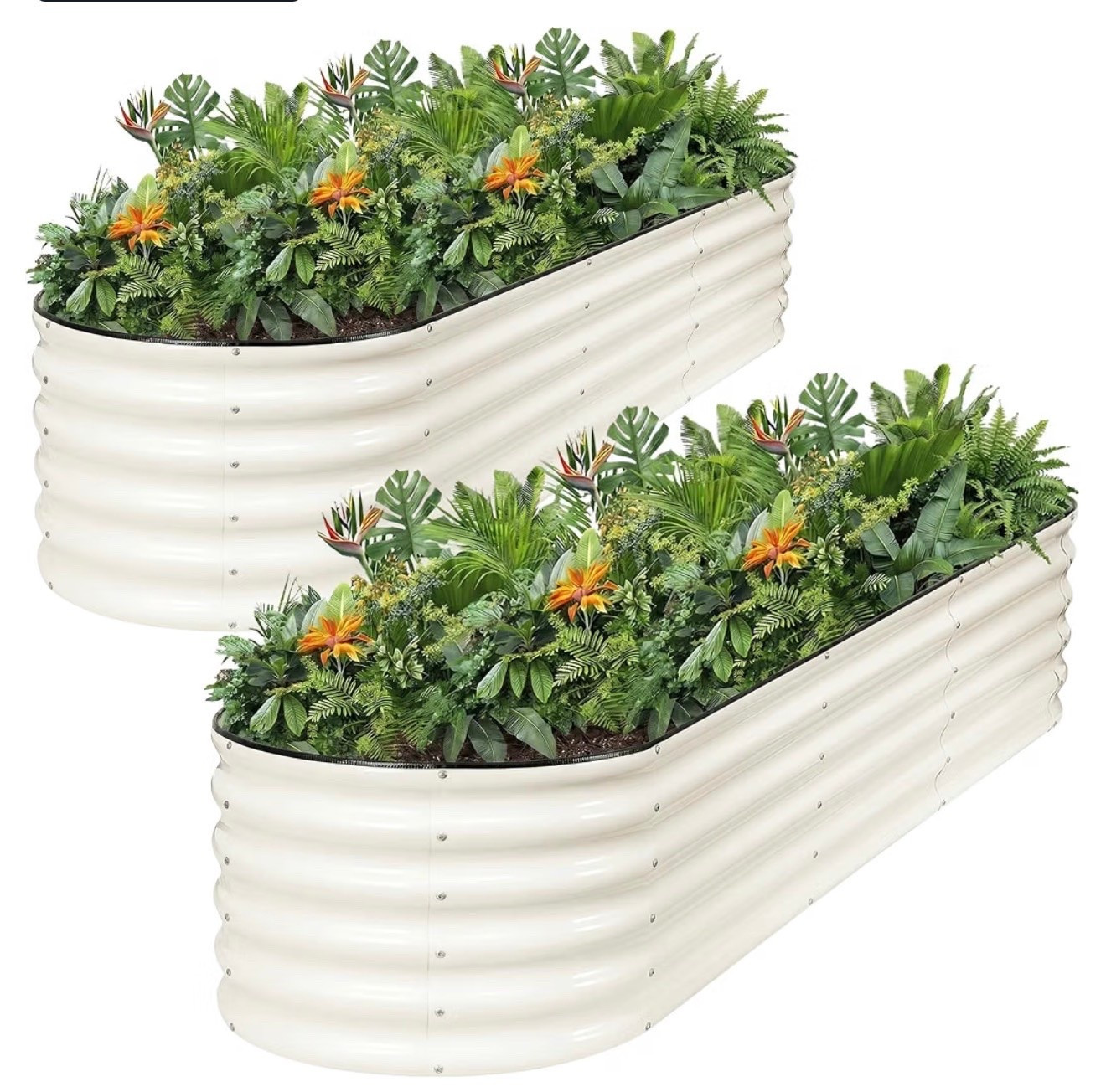 1MORE Galvanized Raised Garden Bed Outdoor,Planter Bed 8x2x1.4ft,White,2-Pk